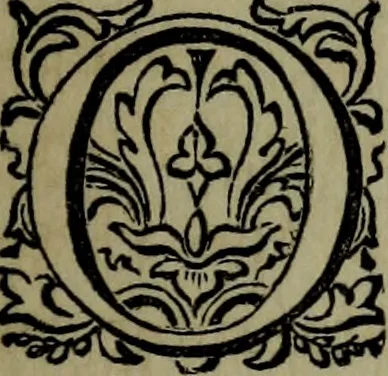 An illustration from Art thoughts : the experiences and observations of an American amateur in Europe, 1869, leaf 234