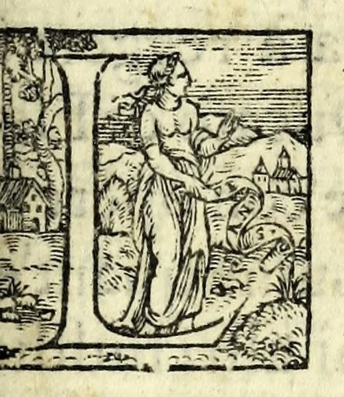 An illustration from Asdrvbale : tragedia, 1562, leaf 7
