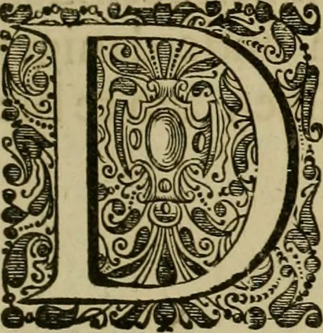 An illustration from Asia, of, Naukeurige beschryving van het rijk des Grooten Mogols, en een groot gedeelte van Indien ..., 1672, leaf 10