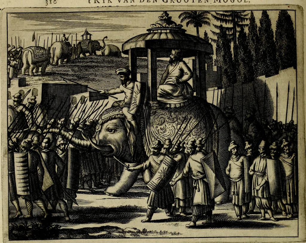 An illustration from Asia, of, Naukeurige beschryving van het rijk des Grooten Mogols, en een groot gedeelte van Indien ..., 1672, leaf 377