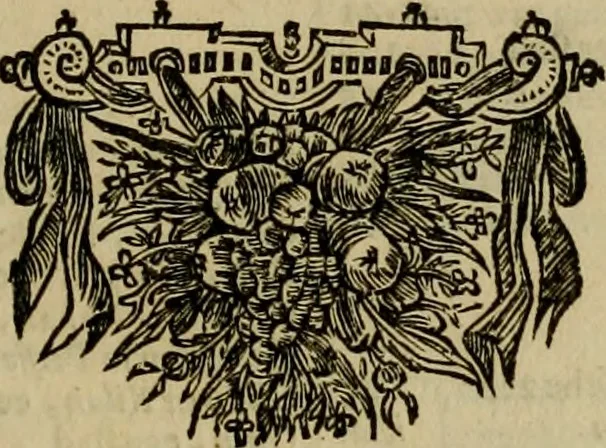 An illustration from Asia, of, Naukeurige beschryving van het rijk des Grooten Mogols, en een groot gedeelte van Indien ..., 1672, leaf 738