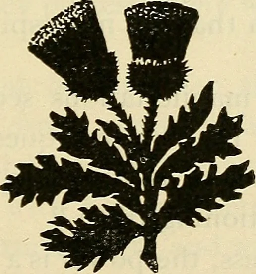 An illustration from As it is to be, 1892, leaf 112