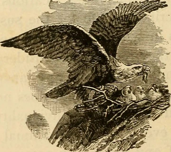 An illustration from As it is to be, 1892, leaf 169