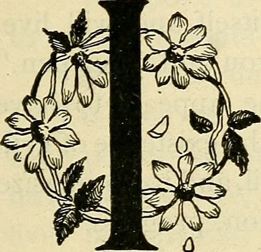 An illustration from As it is to be, 1892, leaf 170