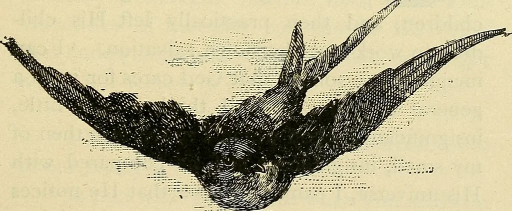 An illustration from As it is to be, 1892, leaf 256
