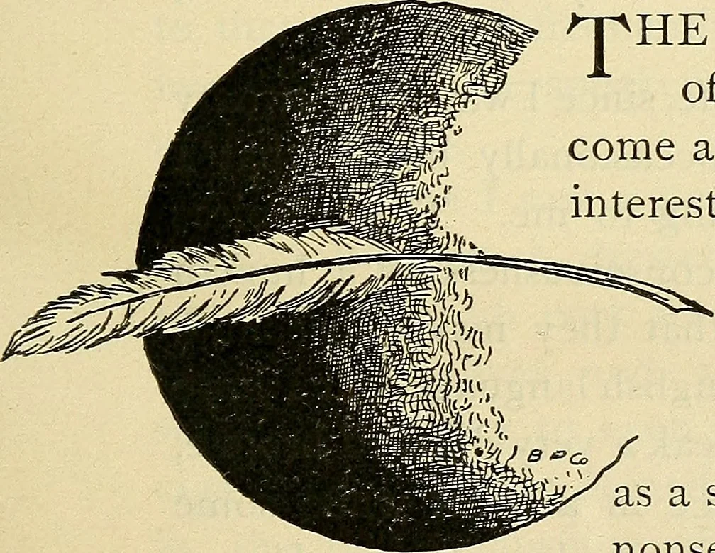 An illustration from As it is to be, 1892, leaf 28