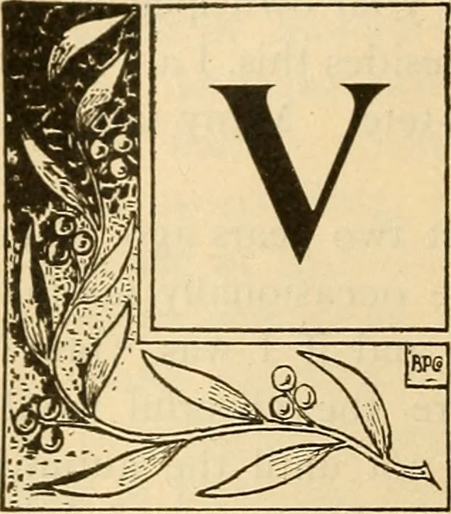 An illustration from As it is to be, 1892, leaf 33