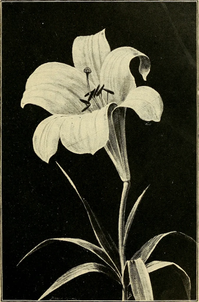An illustration from As it is to be, 1892, leaf 52