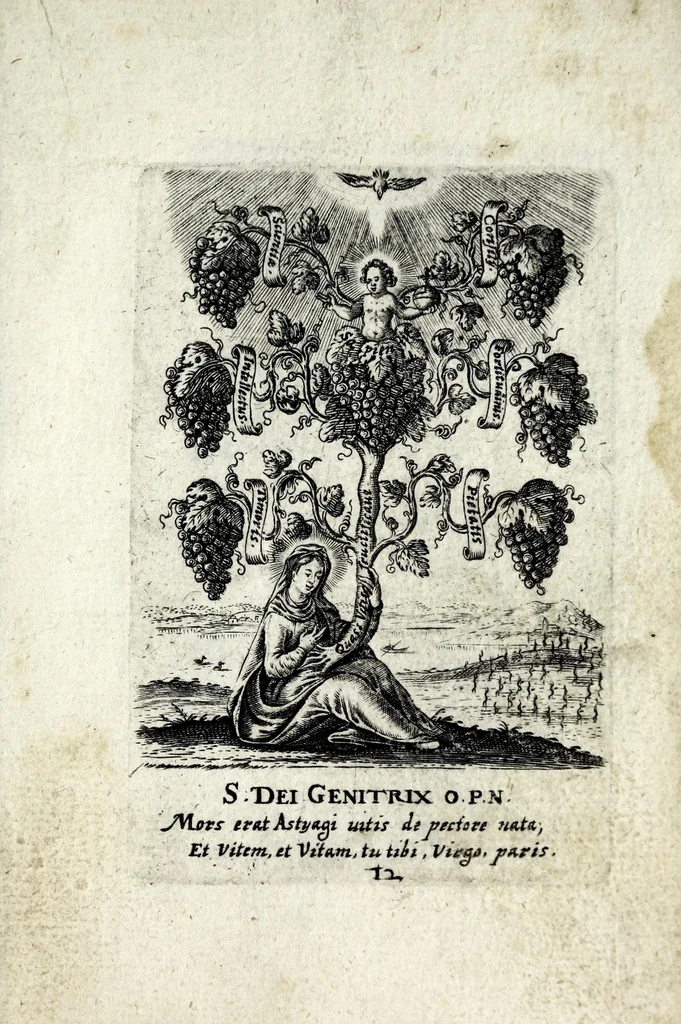 An illustration from Asma poeticum Litaniaru[m] Lauretanarum : [in quo singulis titulis emblemata cum carmine respondent], 1636, leaf 33