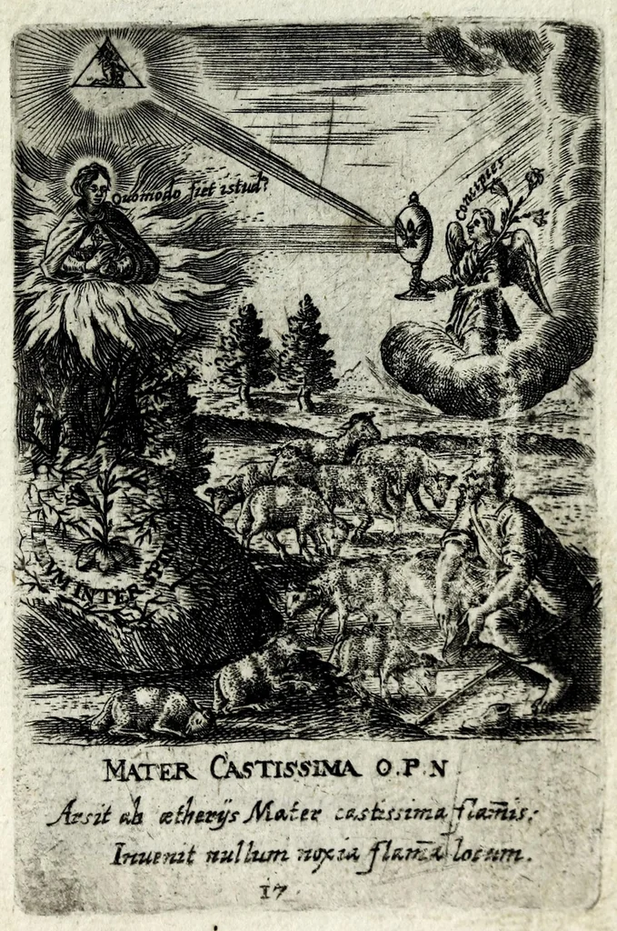 An illustration from Asma poeticum Litaniaru[m] Lauretanarum : [in quo singulis titulis emblemata cum carmine respondent], 1636, leaf 43