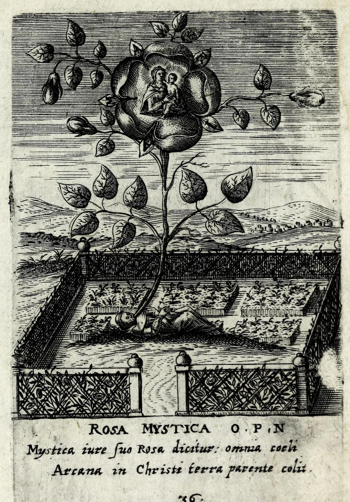 An illustration from Asma poeticum Litaniaru[m] Lauretanarum : [in quo singulis titulis emblemata cum carmine respondent], 1636, leaf 81