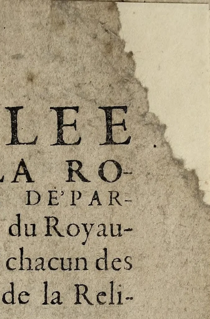 An illustration from Assemblee tenue à La Rochelle sur le département des prouinces du royaume de France, faicte à chacun des princes & seigneurs de la religion, a sa volonté., 1621, leaf 9