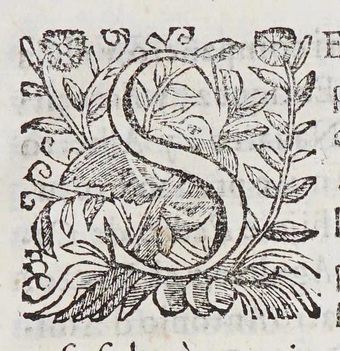 An illustration from Assiento y capitulacion, : que los señores presidente, y del Consejo Real de las Indias tomaron co[n] Adriano de Legaso, por si y en nombre del prior y consules de la Vniversidad de los Cargadores a las Indias de la ciudad de Seuilla, y demas personas interresadas en el comercio dellas, sobre a cobrança y administracio[n] del derecho de la aueria, y despacho de las armada y flotas de las Indias, por tiempo de seis años que començaràn a correr desde principio del venidero de 1628 y se cumpliràn en fin del de 633., 1627, leaf 13