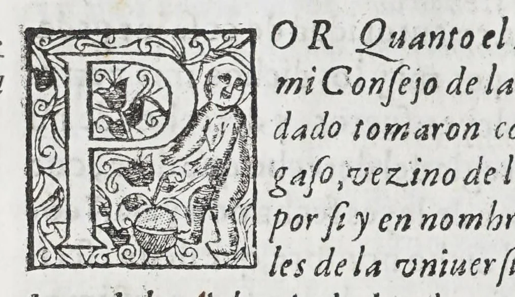 An illustration from Assiento y capitulacion, : que los señores presidente, y del Consejo Real de las Indias tomaron co[n] Adriano de Legaso, por si y en nombre del prior y consules de la Vniversidad de los Cargadores a las Indias de la ciudad de Seuilla, y demas personas interresadas en el comercio dellas, sobre a cobrança y administracio[n] del derecho de la aueria, y despacho de las armada y flotas de las Indias, por tiempo de seis años que començaràn a correr desde principio del venidero de 1628 y se cumpliràn en fin del de 633., 1627, leaf 96
