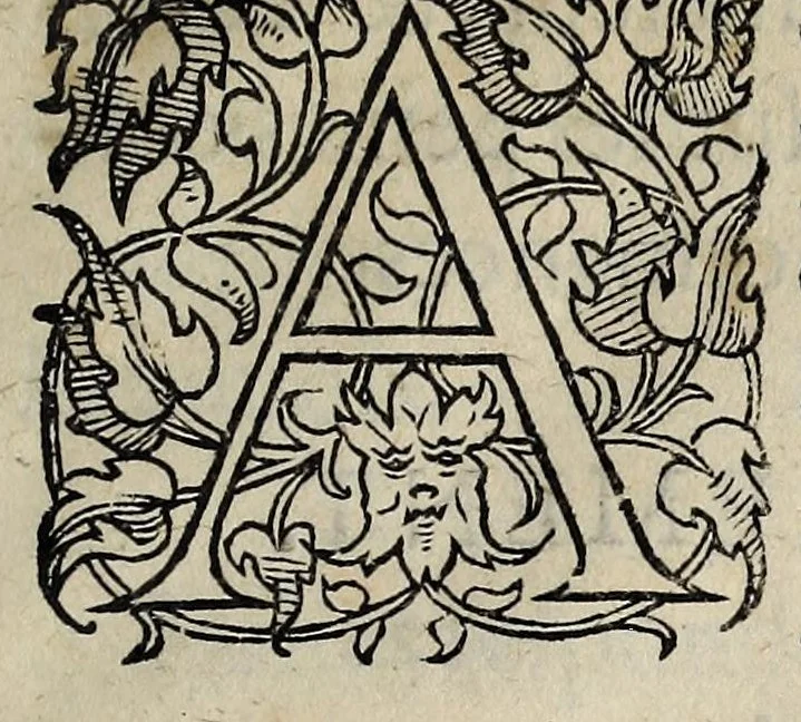 An illustration from Assignations baillees par la Chambre des comptes, aux officiers comptables, & renouuellées suyuant l'ordonnãce derniere faicte par le roy sur le faict de ses finances au moys de decembre, mil cinq cens cinquantesept ..., 1559, leaf 11