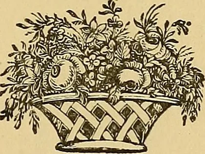 An illustration from Astrea : or, Goddess of justice, 1881, leaf 38