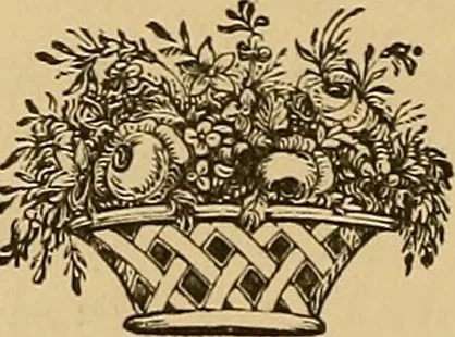 An illustration from Astrea : or, Goddess of justice, 1881, leaf 81