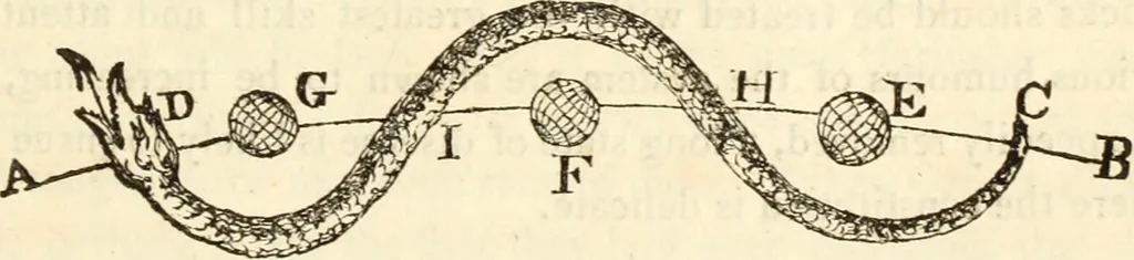 An illustration from The astrologer of the nineteenth century, 1825, leaf 180