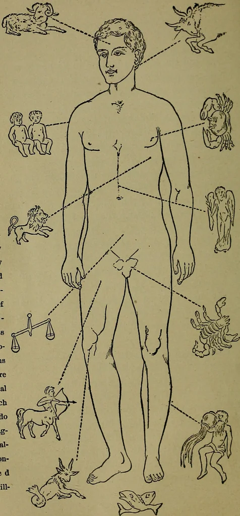 An illustration from Astrology, science of knowledge and reason; a treatise on the heavenly bodies in an easy and comprehensive form, 1897, leaf 173