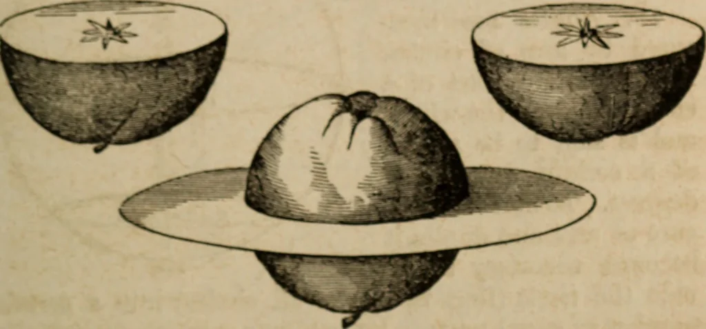 An illustration from Astronography, or, Astronomical geography, with the use of globes : arranged either for simultaneous reading and study in classes, or for study in the common method, 1854, leaf 22