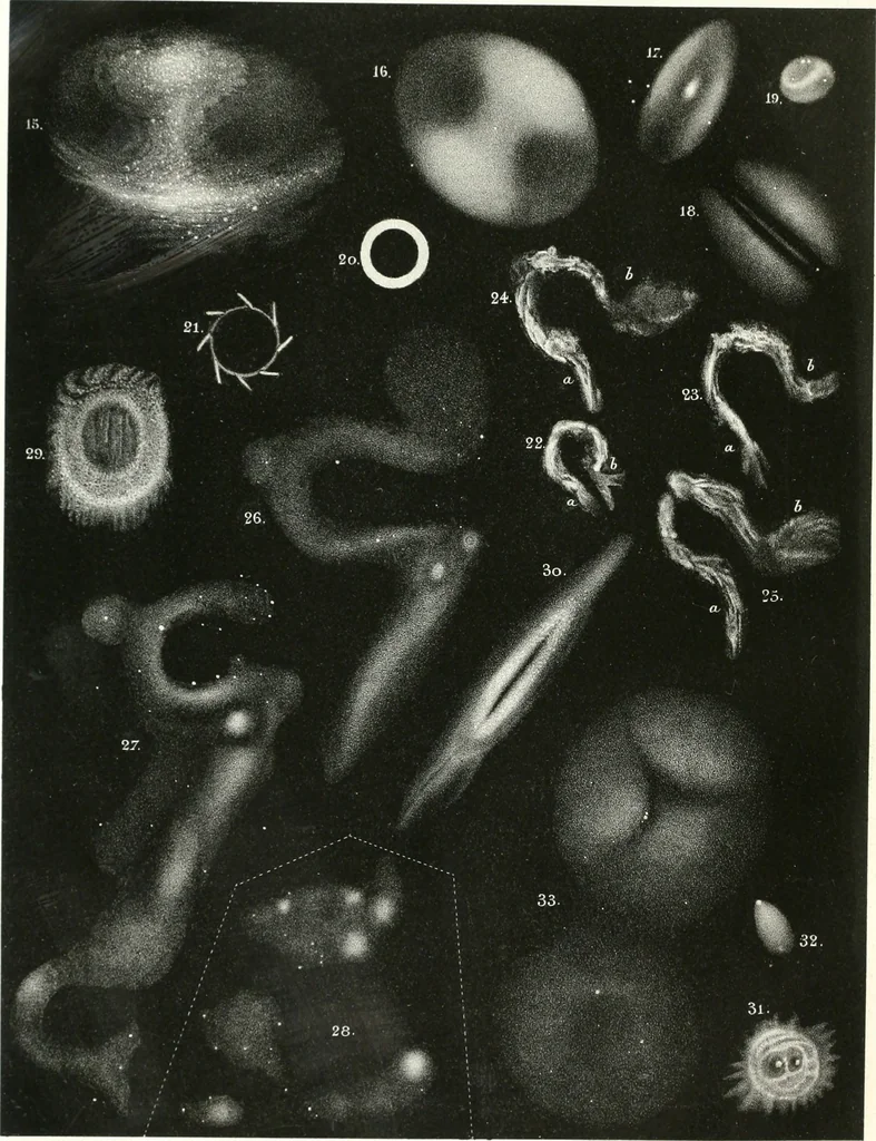 An illustration from The Astronomical journal, 1849, leaf 9