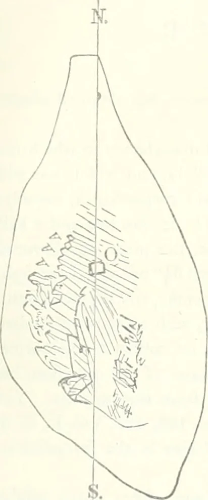 An illustration from The Astronomical journal, 1849, leaf 358