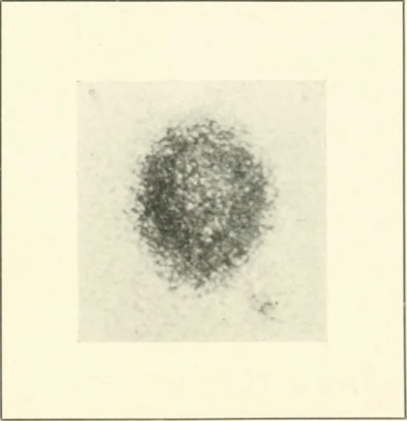 An illustration from The Astronomical journal, 1849, leaf 122