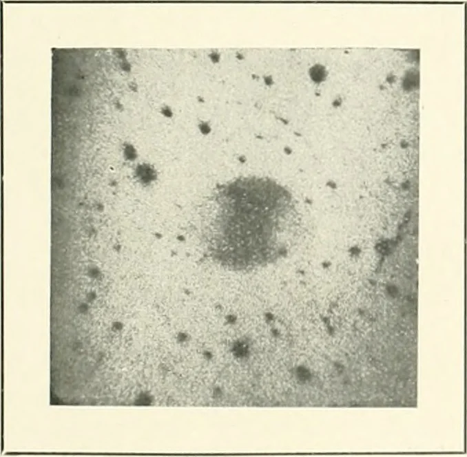 An illustration from The Astronomical journal, 1849, leaf 190