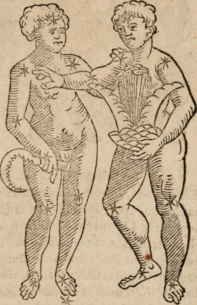An illustration from Astronomica veterum scripta isagogica Graeca & Latina, 1589, leaf 420