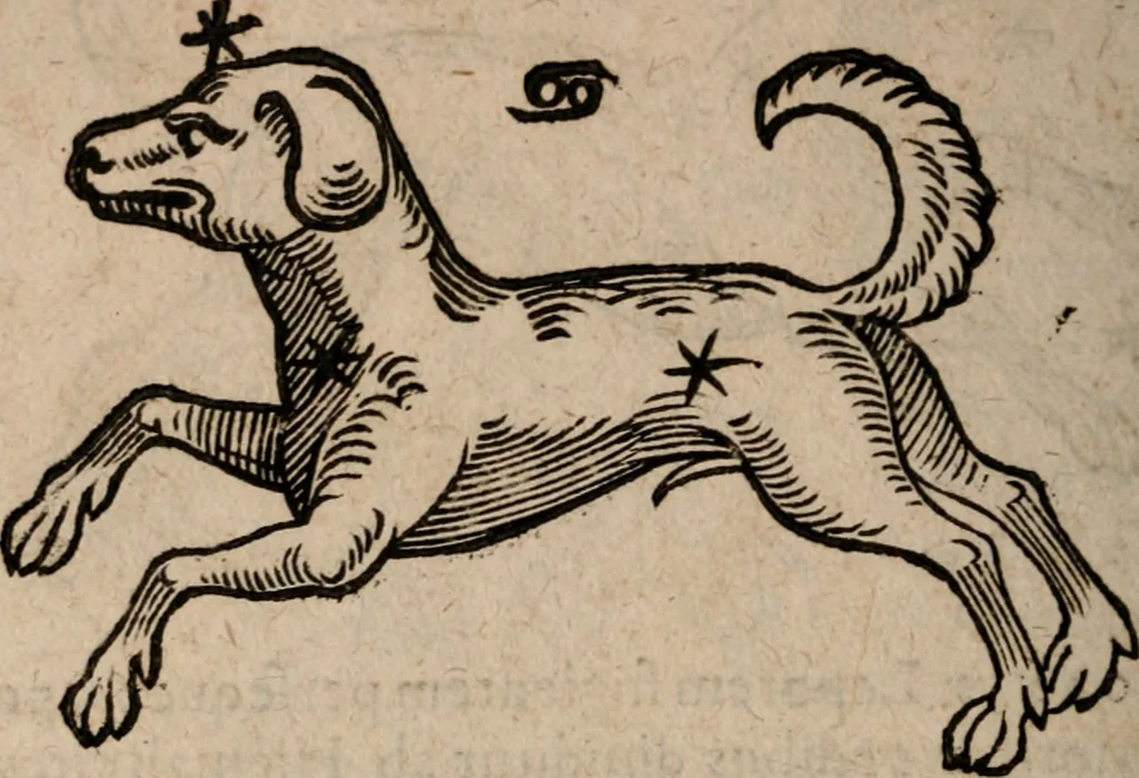 An illustration from Astronomica veterum scripta isagogica Graeca & Latina, 1589, leaf 433
