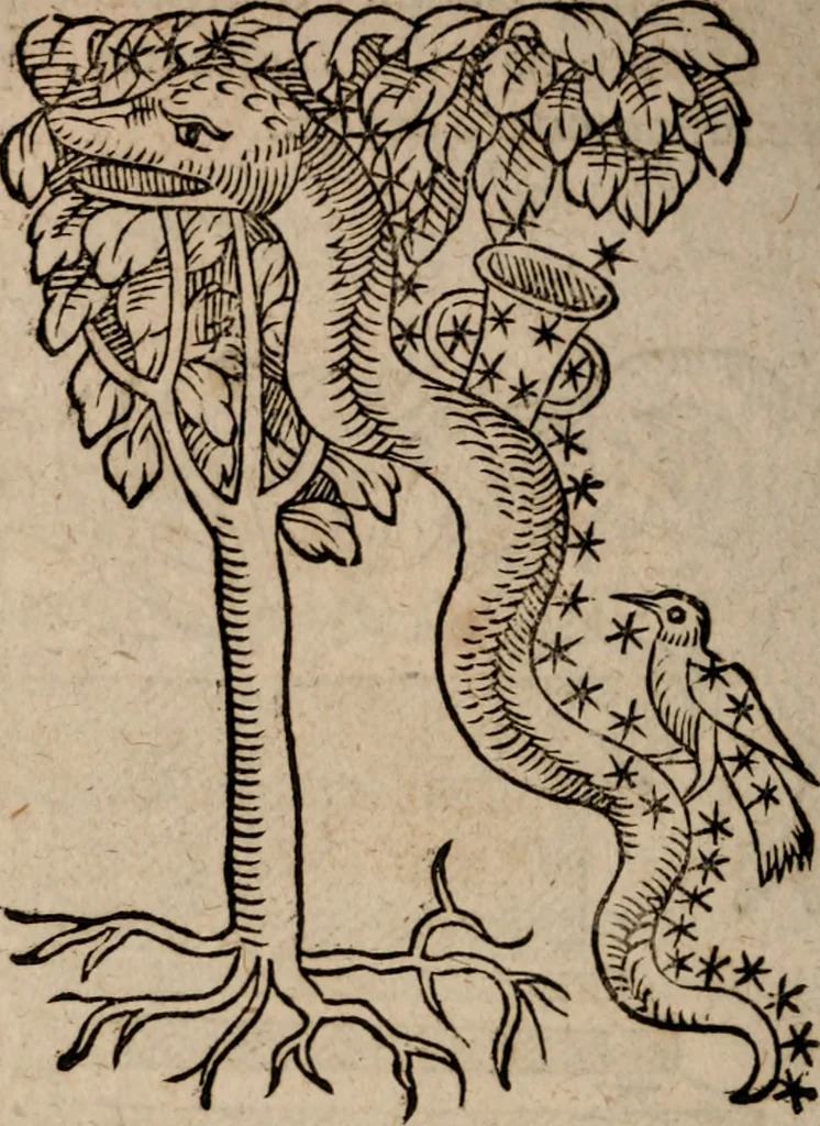 An illustration from Astronomica veterum scripta isagogica Graeca & Latina, 1589, leaf 437