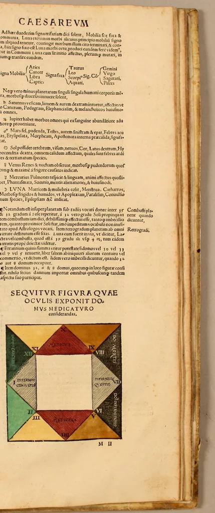 An illustration from Astronomicum cæsareum, 1540, leaf 99