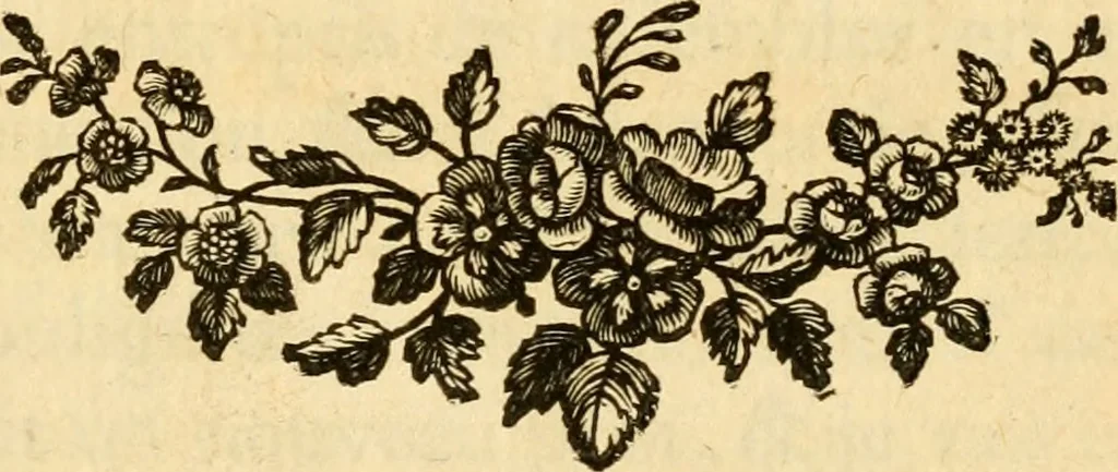 An illustration from Astronomie, 1771, leaf 8