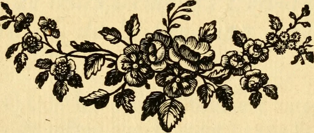 An illustration from Astronomie, 1771, leaf 8