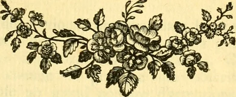 An illustration from Astronomie, 1771, leaf 8