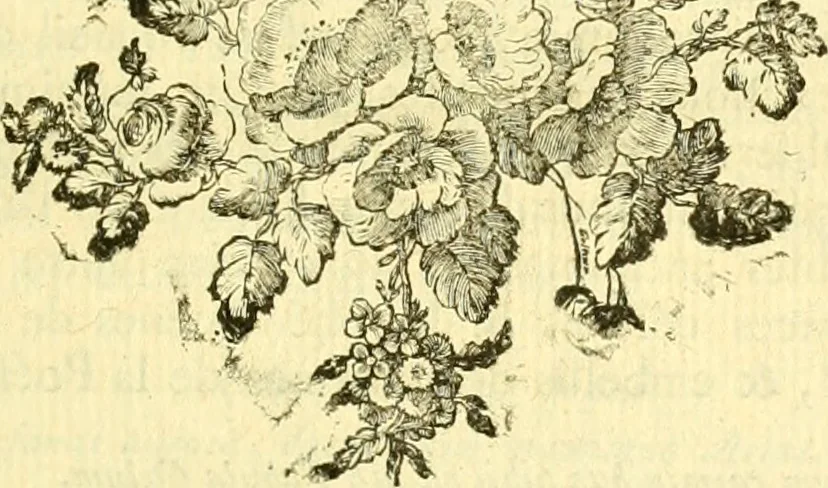An illustration from Astronomie, 1771, leaf 440