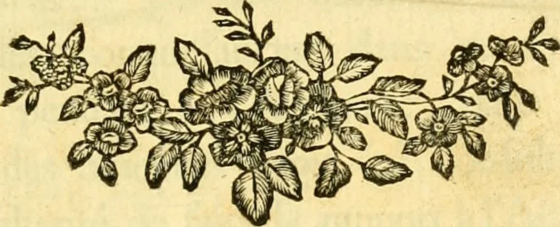 An illustration from Astronomie, 1771, leaf 6
