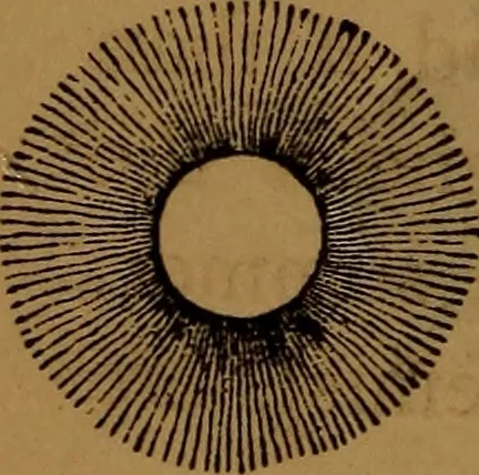 An illustration from Astronomy, 1878, leaf 133