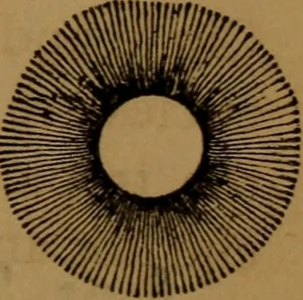 An illustration from Astronomy, 1878, leaf 134