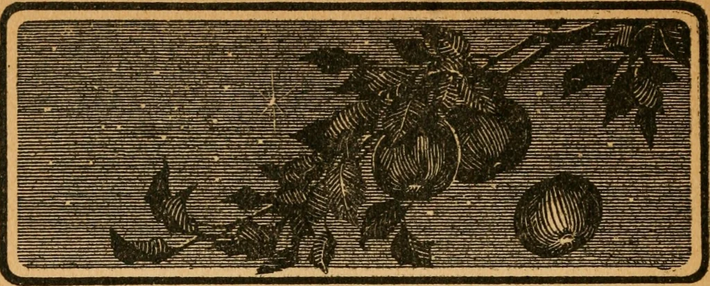 An illustration from Astronomy and the Bible;, 1919, leaf 211