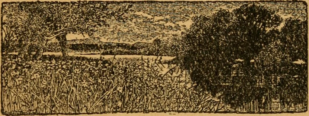 An illustration from Astronomy and the Bible;, 1919, leaf 266