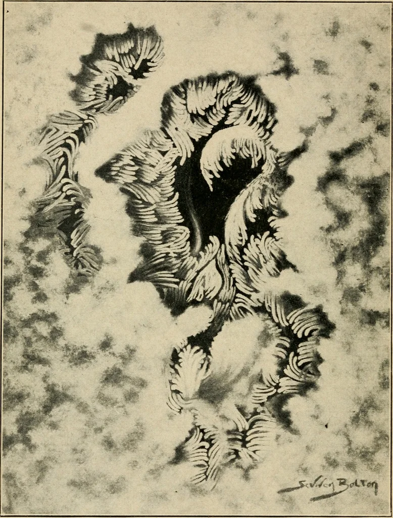 An illustration from Astronomy and the Bible;, 1919, leaf 75
