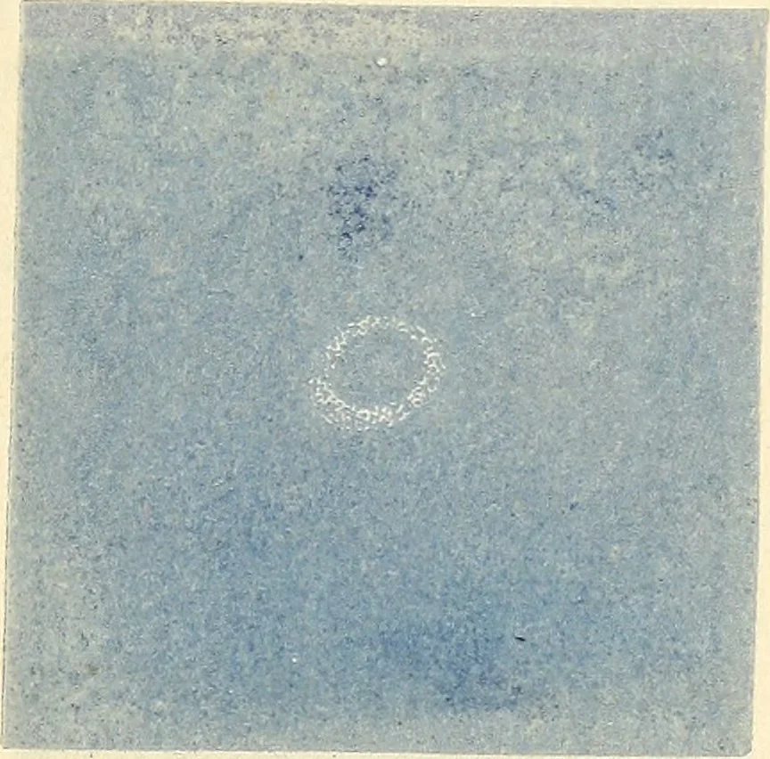 An illustration from Astronomy and the Bible; or, God's two great books, nature and revelation, 1908, leaf 76