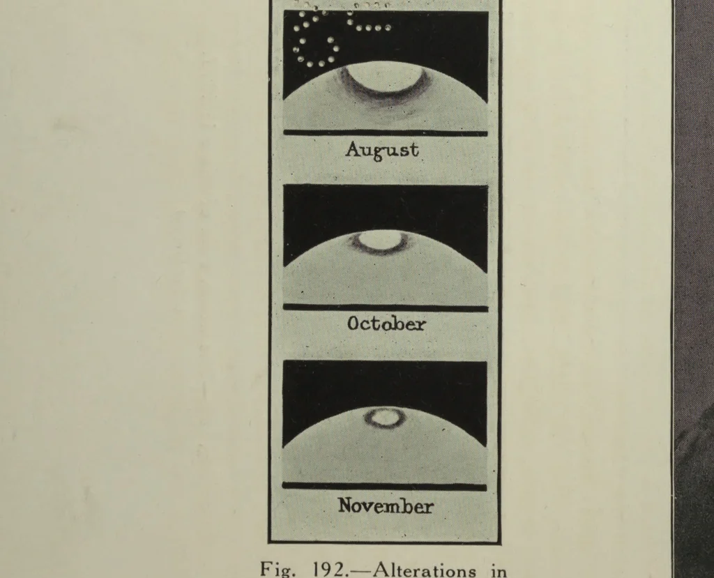 An illustration from Astronomy for all, 1911, leaf 307