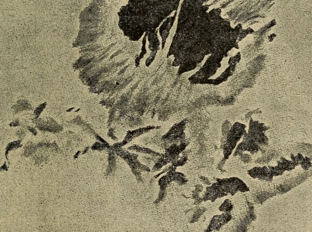 An illustration from Astronomy for amateurs, 1904, leaf 116