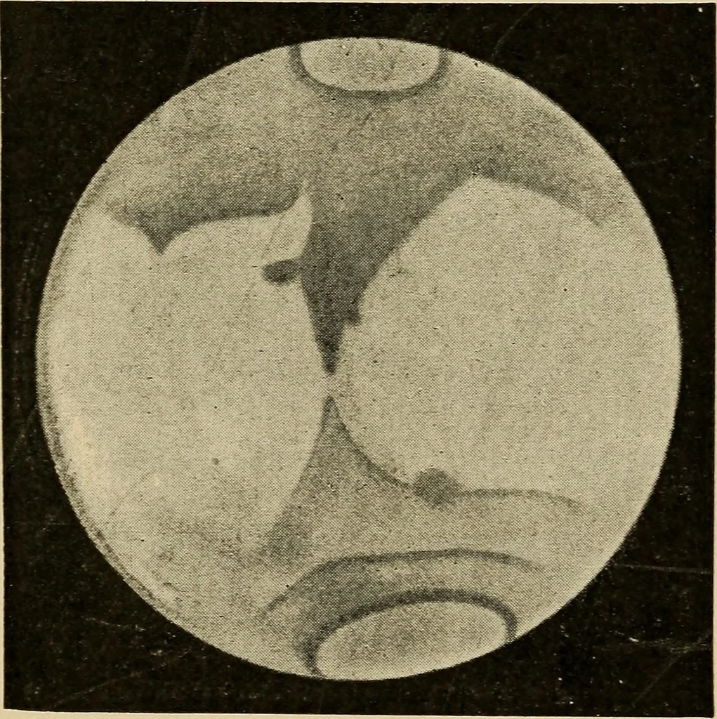 An illustration from Astronomy for amateurs, 1904, leaf 156