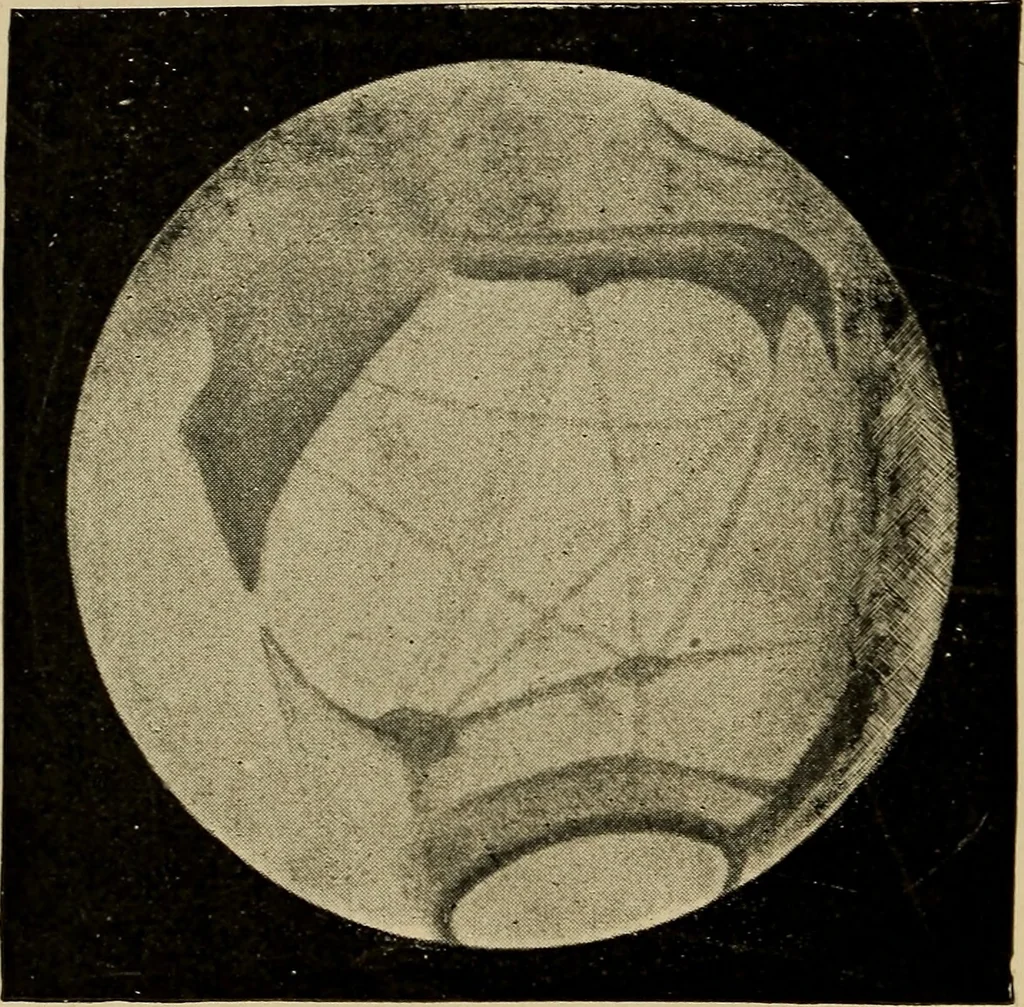 An illustration from Astronomy for amateurs, 1904, leaf 157
