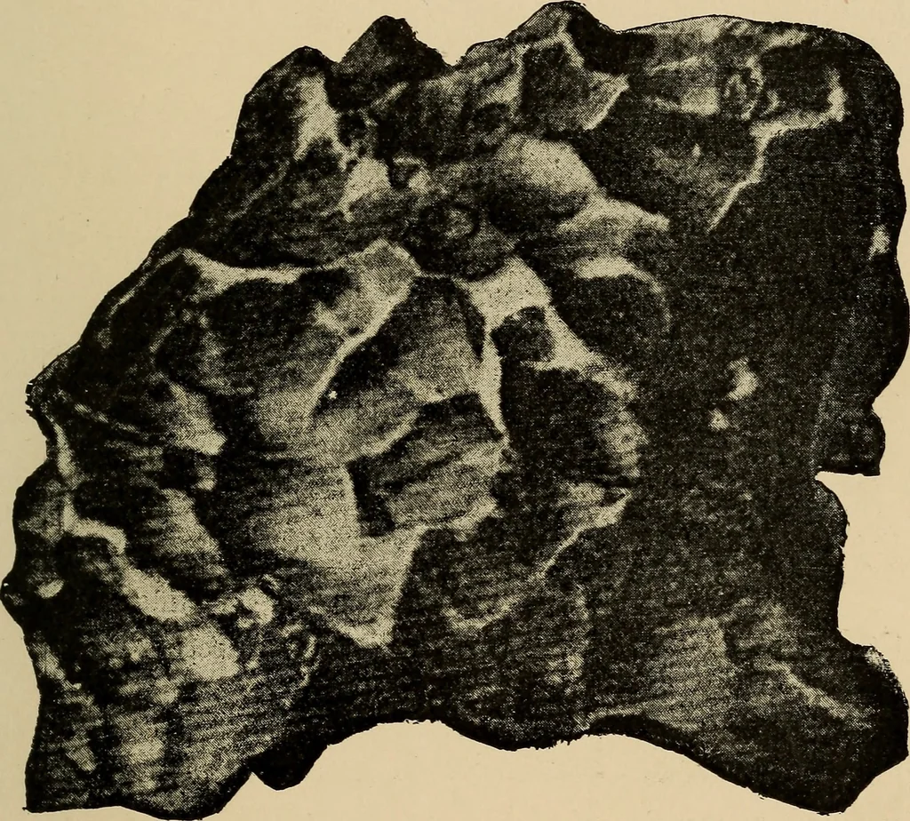 An illustration from Astronomy for amateurs, 1904, leaf 222
