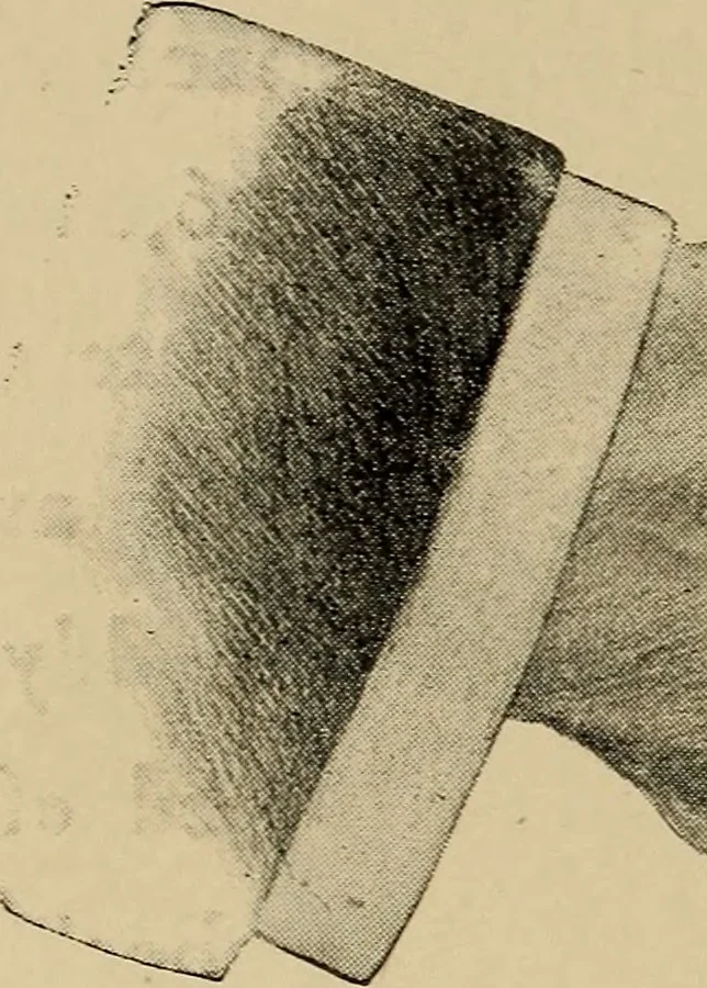 An illustration from Astronomy for amateurs, 1904, leaf 249