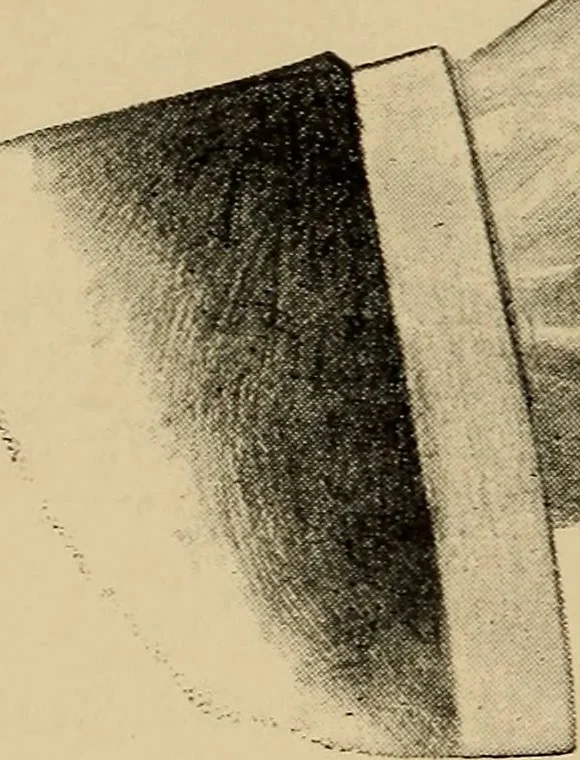 An illustration from Astronomy for amateurs, 1904, leaf 249